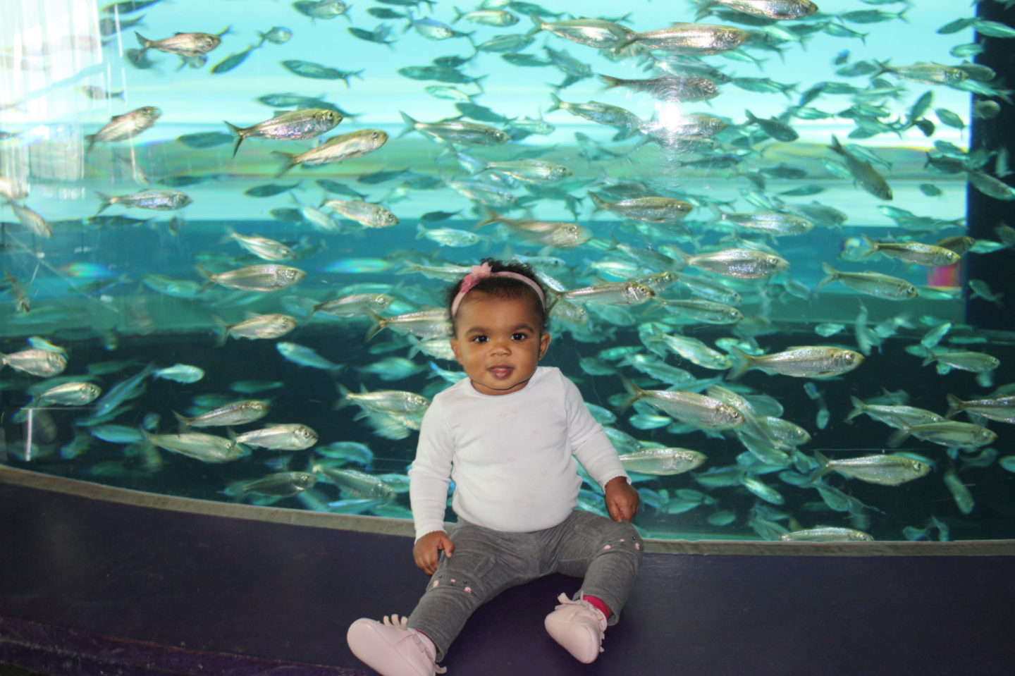 Ripley’s Aquarium with an Infant